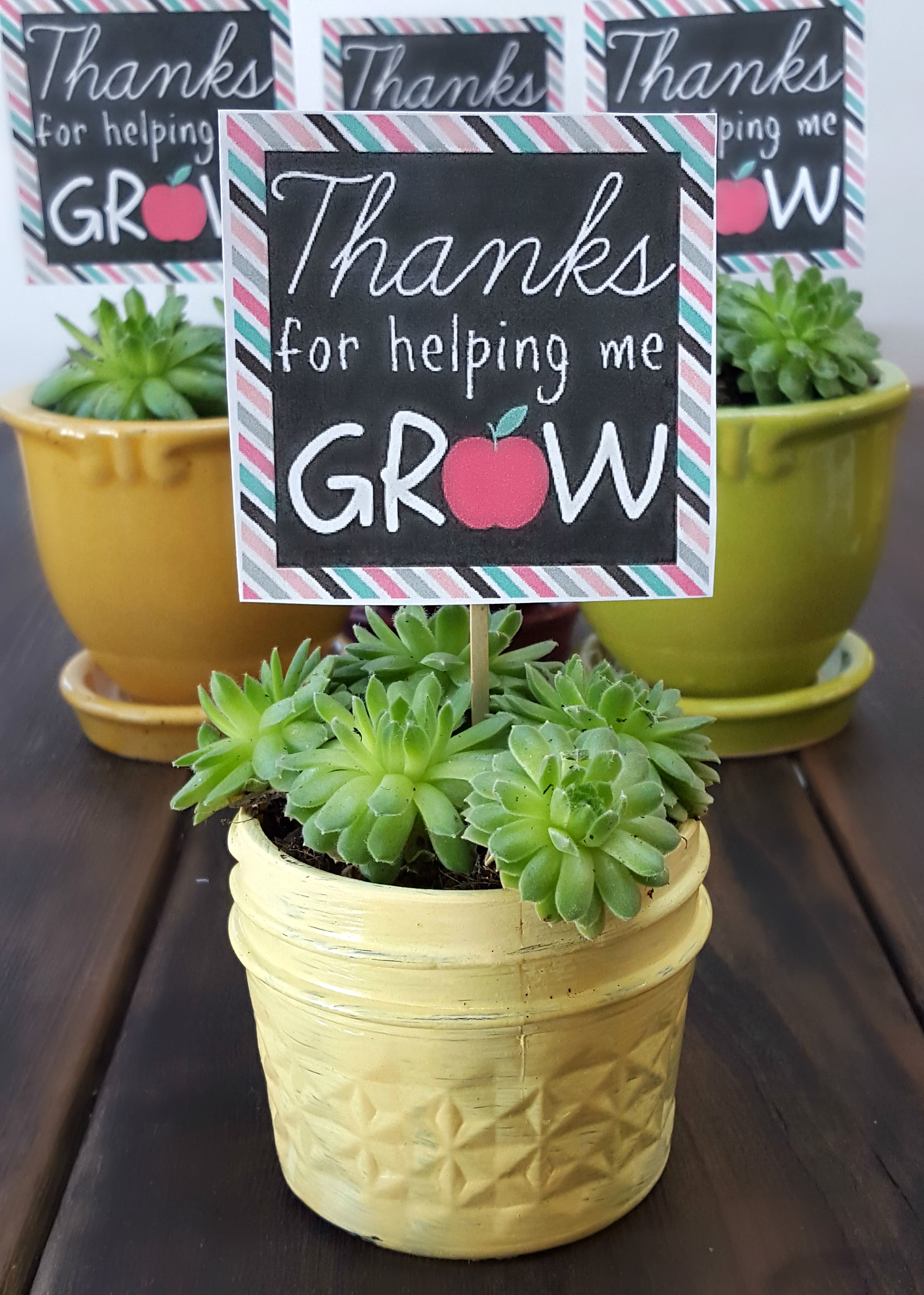 thank-you-for-helping-me-grow-tags-teacher-gift-tags-thank-you